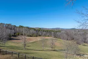 1849 Jackson Grove Rd, Columbus, NC 28722 - Photo 29