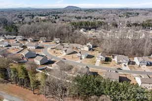 116 Rippling Water Dr, Mount Holly, NC 28120 - Photo 43