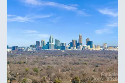 6038 Netherwood Drive, Charlotte, NC 28210 - Photo 39