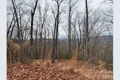 999 Breedlove Road #2, Bryson City, NC 28713 - Photo 15