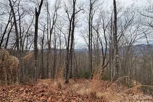 999 Breedlove Rd, Bryson City, NC 28713 - Photo 15