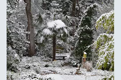 2424 Richardson Drive, Charlotte, NC 28211 - Photo 39