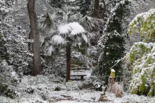 2424 Richardson Dr, Charlotte, NC 28211 - Photo 39