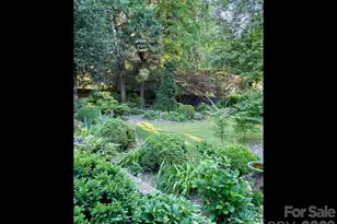 2424 Richardson Dr, Charlotte, NC 28211 - Photo 45