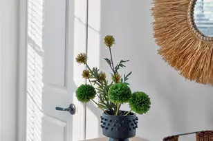 1524 Harrill St, Charlotte, NC 28205 - Photo 21