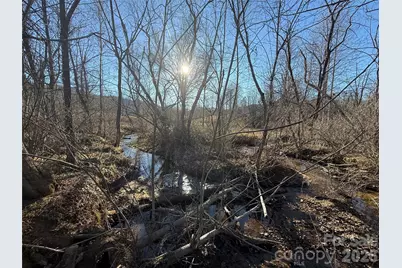 000 Old Fort Sugar Hill Road, Marion, NC 28752 - Photo 1