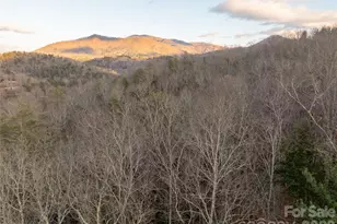 9180 Lower Alarka Rd, Bryson City, NC 28713 - Photo 5