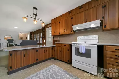 391 Hawthorne Drive, Brevard, NC 28712 - Photo 13