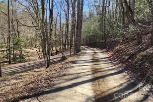 360 River Cv Ln, Hayesville, NC 28904 - Photo 39