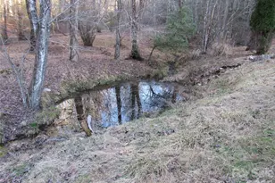 360 River Cv Ln, Hayesville, NC 28904 - Photo 35