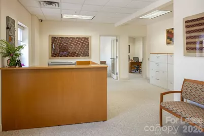 56 College Street #301, Asheville, NC 28801 - Photo 3