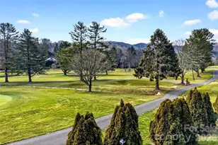 263 Fairway Ln, Spruce Pine, NC 28777 - Photo 25