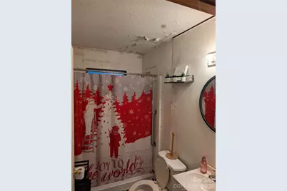 2225 Old McKinney Road, York, SC 29745 - Photo 11