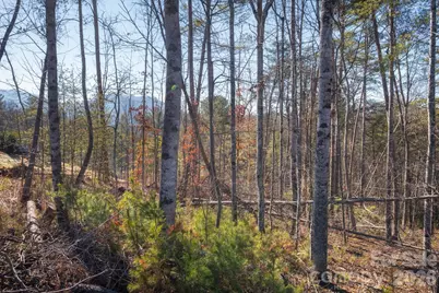 161 Riverbend Forest Drive #9, Asheville, NC 28805 - Photo 3