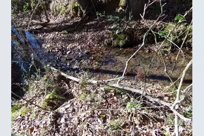 41 Ac Hwy 55 Highway, Clover, SC 29710 - Photo 7