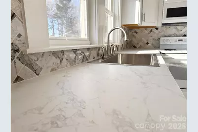 438 Pop Davis Road, Taylorsville, NC 28681 - Photo 3