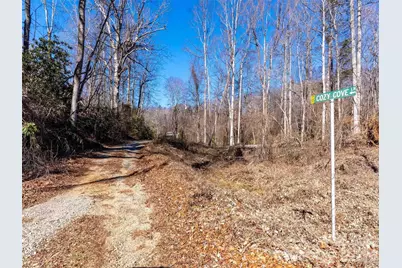 124 Cozy Cove Lane, Saluda, NC 28773 - Photo 21