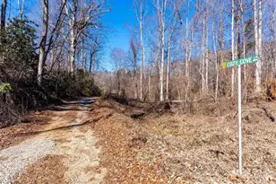 124 Cozy Cove Ln, Saluda, NC 28773 - Photo 21