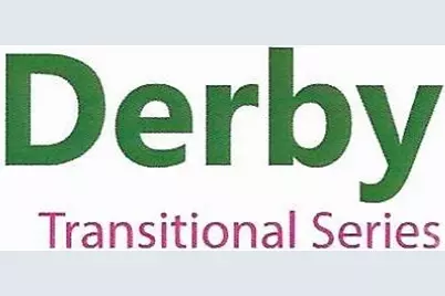 248 Corrie Ann Drive, Concord, NC 28027 - Photo 3