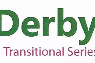 248 Corrie Ann Dr, Concord, NC 28027 - Photo 3