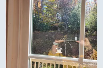 457 Dale Road, Spruce Pine, NC 28777 - Photo 27