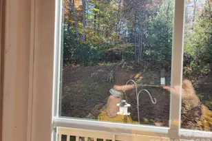 457 Dale Rd, Spruce Pine, NC 28777 - Photo 27