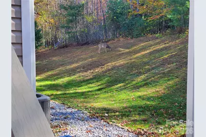 457 Dale Road, Spruce Pine, NC 28777 - Photo 29