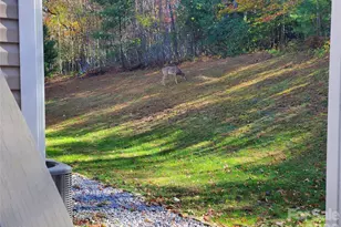 457 Dale Rd, Spruce Pine, NC 28777 - Photo 29