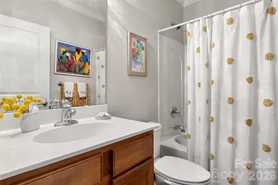 10564 Bethpage Drive, Fort Mill, SC 29707 - Photo 31