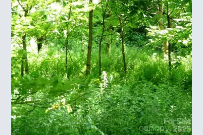 3771 US Highway 421 Highway N, Vilas, NC 28692 - Photo 7