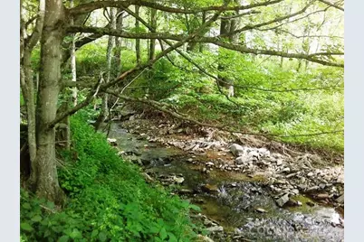 3771 US Highway 421 Highway N, Vilas, NC 28692 - Photo 3