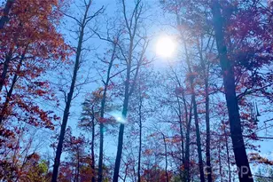 288 Rebel Dr, Hot Springs, NC 28743 - Photo 25