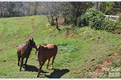 40 & 44 Chambers Drive, Weaverville, NC 28787 - Photo 37