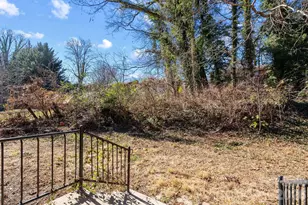 19 Browndale Rd, Asheville, NC 28805 - Photo 33