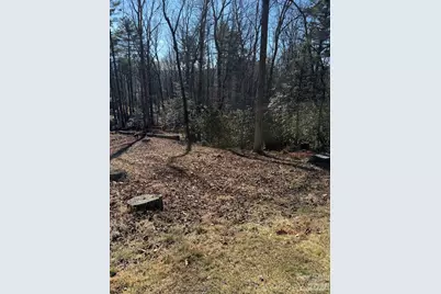 9999 Rockbrook Overlook, Brevard, NC 28712 - Photo 3