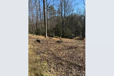 9999 Rockbrook Overlook, Brevard, NC 28712 - Photo 1