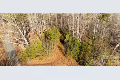 49 Shady Bark Lane, Rutherfordton, NC 28139 - Photo 5