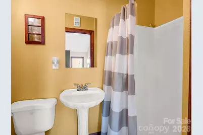 358 Whitney Boulevard, Lake Lure, NC 28746 - Photo 33