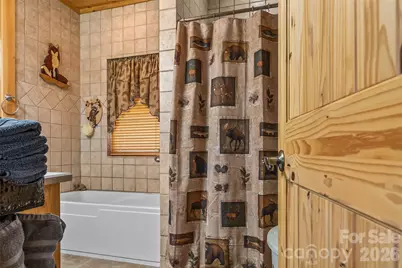 16 Saratoga Drive, Nebo, NC 28761 - Photo 29