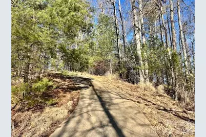 45 Marshbanks Ridge, Weaverville, NC 28787 - Photo 35