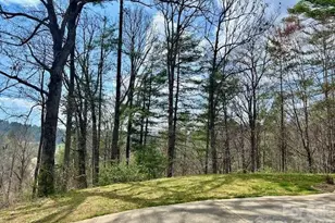 45 Marshbanks Rdg, Weaverville, NC 28787 - Photo 39