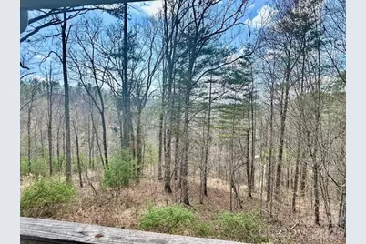 45 Marshbanks Ridge, Weaverville, NC 28787 - Photo 39