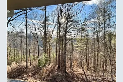 45 Marshbanks Ridge, Weaverville, NC 28787 - Photo 9