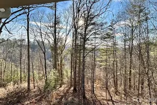 45 Marshbanks Rdg, Weaverville, NC 28787 - Photo 9