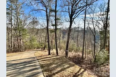 45 Marshbanks Ridge, Weaverville, NC 28787 - Photo 9