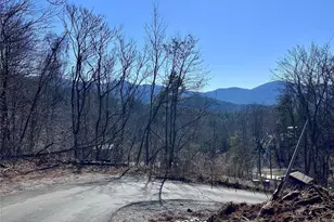 224 Riddle Rd, Swannanoa, NC 28778 - Photo 11