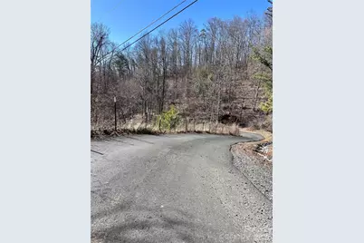 224 Riddle Road, Swannanoa, NC 28778 - Photo 13