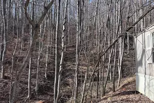 224 Riddle Rd, Swannanoa, NC 28778 - Photo 9