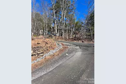 224 Riddle Road, Swannanoa, NC 28778 - Photo 11