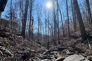 224 Riddle Rd, Swannanoa, NC 28778 - Photo 15